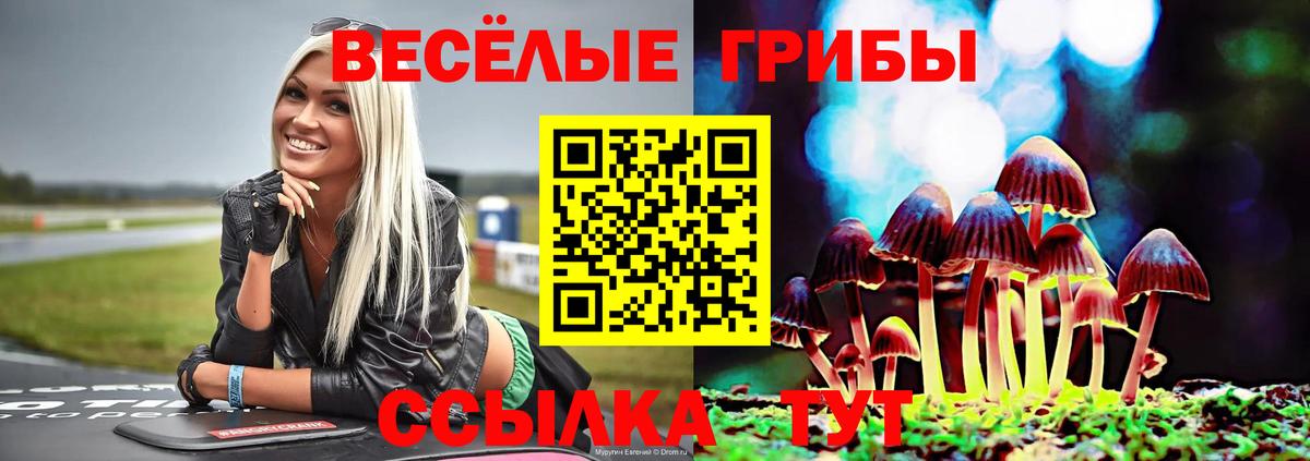 Псилоцибиновые грибы MAGIC MUSHROOMS  Вход с VPN  Каспийск 